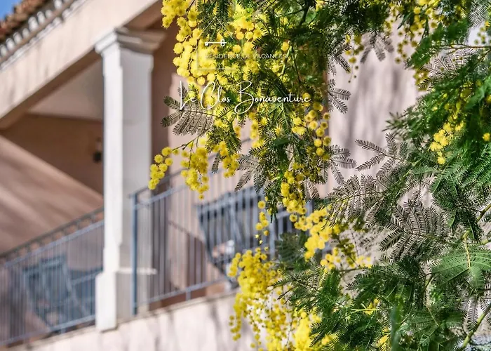 Dolce Et St Tropez - 10 쎙뜨호뻬